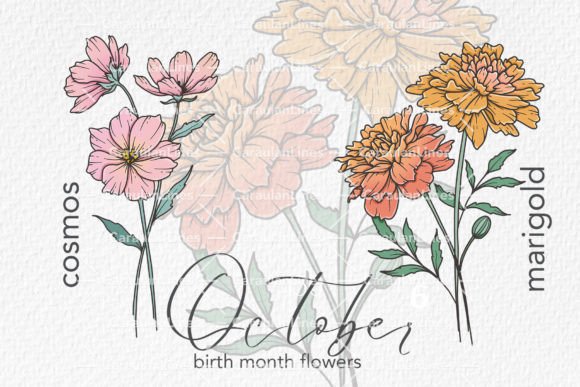 Download October Birth Month Flowers - Premium Bundle
